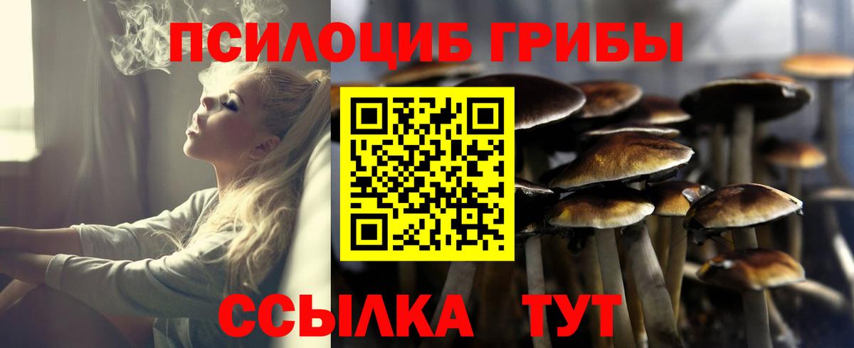 Кисловодск  купить наркоту  Вход с VPN  Псилоцибиновые грибы Magic Shrooms 